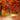 Embrace the Season: Autumn 2025 Collection at Beaubrook