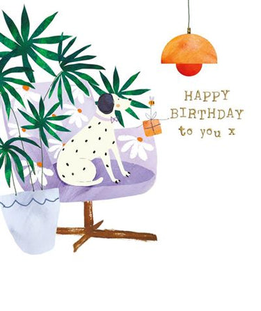 Open Birthday