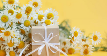 Summer Gift Guide