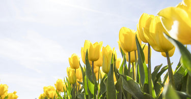 Ultimate Easter & Mother’s Day Gift Guide 2026 | Thoughtful Gift Ideas UK