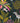 SAM151 - ZEBRA, LEMURS & TOUCAN