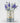 July Birth Flower - Personalised Grow Your Own Flower Gift