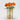 October Birth Flower - Personalised Grow Your Own Flower Gift