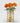 October Birth Flower - Personalised Grow Your Own Flower Gift