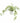 Artificial Trailing Plant Variegated Alocasia
