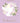 Confirmation Niece 3101