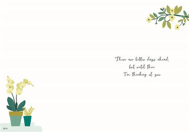 Thinking Of You Card - Peace Lily