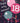 Bday 18th Female 3131