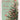 Daughter & Family Christmas Card - Tree