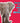 BOTOX ELEPHANT