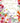 SISTER IN LAW BIRTHDAY - BRIGHT FLOWERS