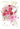 WIFE BIRTHDAY - PINK/RED BOUQUET