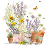 Get Well soon card with pots of lavender