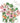 Birthday Card - Nasturtiums