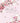 Wedding Regret - Pink Blossom