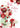 WIFE BIRTHDAY - ROSES