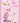 NAN BIRTHDAY - ML1808