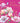 Beaux Chic - Butterflies & Flowers