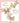 Lovely Friend - Butterflies