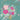SISTER IN LAW BIRTHDAY - FLORAL WHISPERS