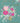 SISTER IN LAW BIRTHDAY - FLORAL WHISPERS