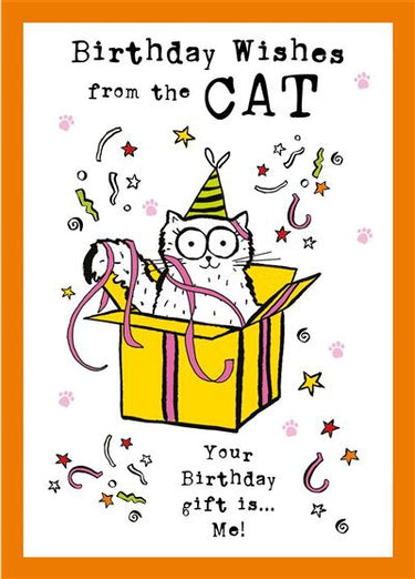 Doodle : Cat In A Box