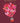 Anniversary - Your (Heart Air Balloon)