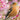 Birds RSPB Slim Calendar 2027