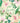 Honey Bee & Pink Floral - Open Birthday