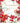 DECEMBER BIRTHDAY - POINSETTIA BORDER