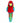 Large Birds : Amazon Macaw