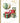 40th Birthday - Gold & Green Presents