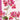 Fashion Diary Geranium A5 Diary 2027
