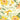 Honey Yellow Nasturtium - Open Birthday