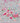 80th Birthday (Pink Flowers)