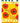 PL07 - PLANTED BLOOMING POPPIES BIRTHDAY CARD