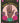 GOOD FORTUNE HAND