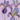 Irises