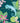 Chameleon