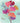 Dragonflies STG373