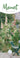 Monet, Claude Slim Calendar 2026