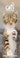 Cats Protection Slim Calendar 2026
