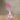Flower Reed Diffuser