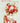 Special Couple Anniversary - Red Roses