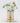 April Birth Flower - Personalised Grow Your Own Flower Gift
