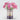 March Birth Flower - Personalised Grow Your Own Flower Gift