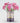 March Birth Flower - Personalised Grow Your Own Flower Gift