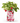 Thank You Berry Much! – Strawberry Grow Kit Gift
