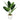 45cm Artificial Aureum Plant