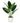 45cm Artificial Aureum Plant